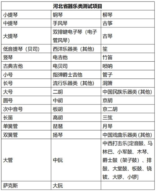 2024年河北普通高校艺术类（音乐）省级统考考试说明