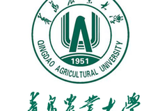 山东二本公办大学排名及分数线一览表（2024填报参考）