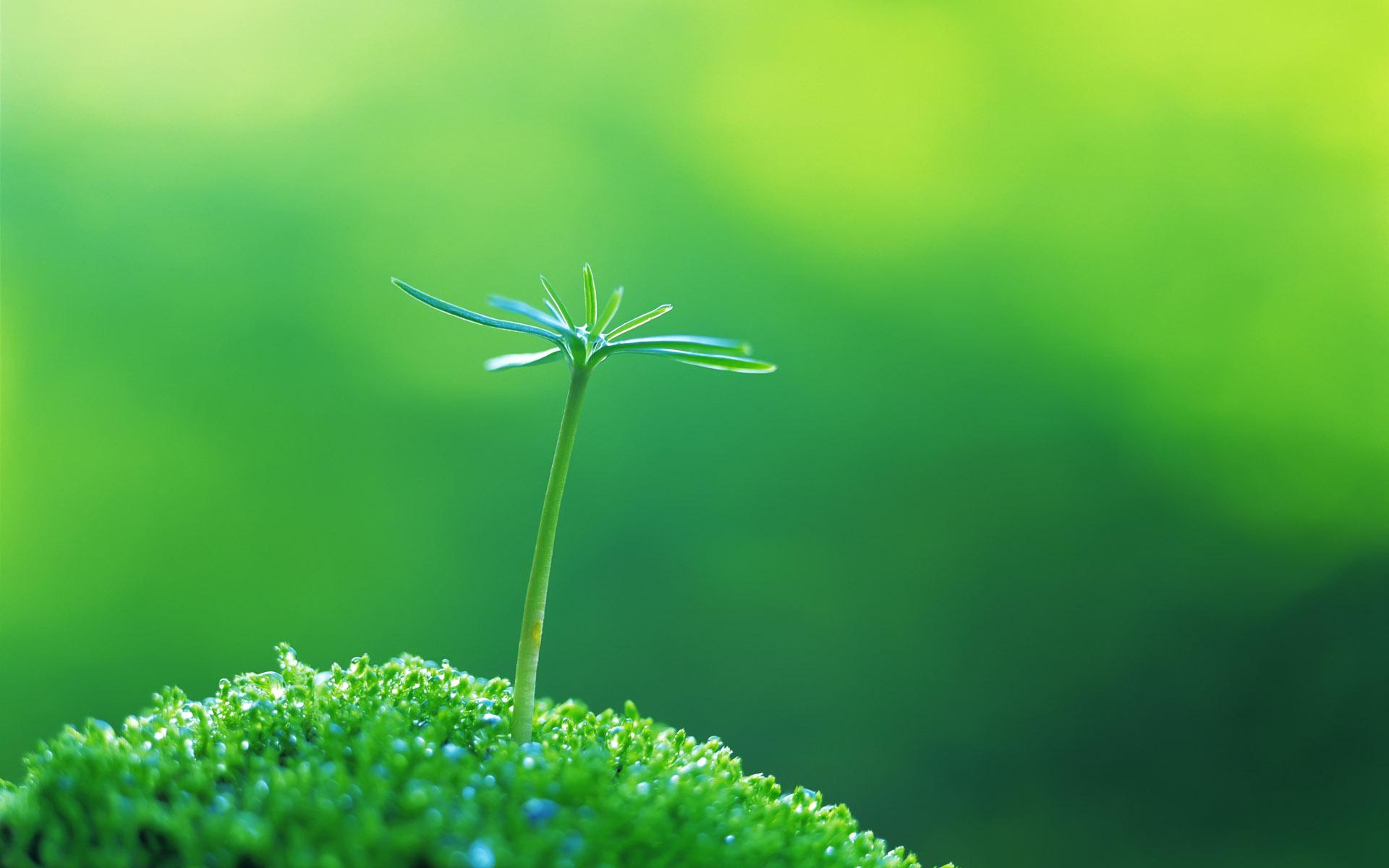 植物保护专业怎么样?主要学些什么，就业前景如何