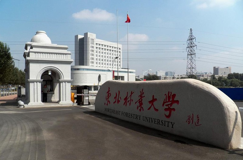 东北林业大学2024年硕士研究生招生考试自命题科目考试大纲