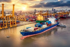 国际经济与贸易专业前50大学排名及录取分数线（2023年高考最低分汇总）