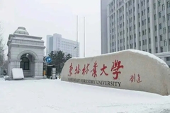 黑龙江农林类大学排名-2024年黑龙江农林类最新高校排行榜