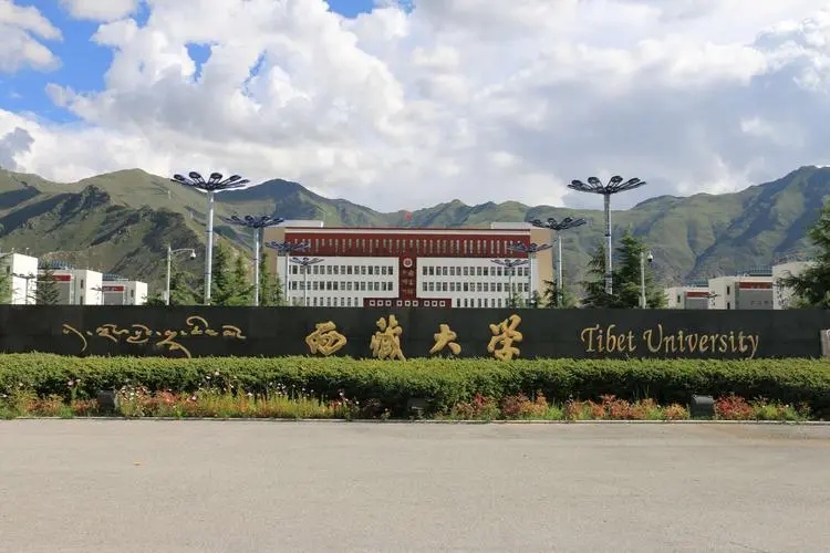 西藏大学2023年录取分数线是多少分？(附各省最低分数线及位次)