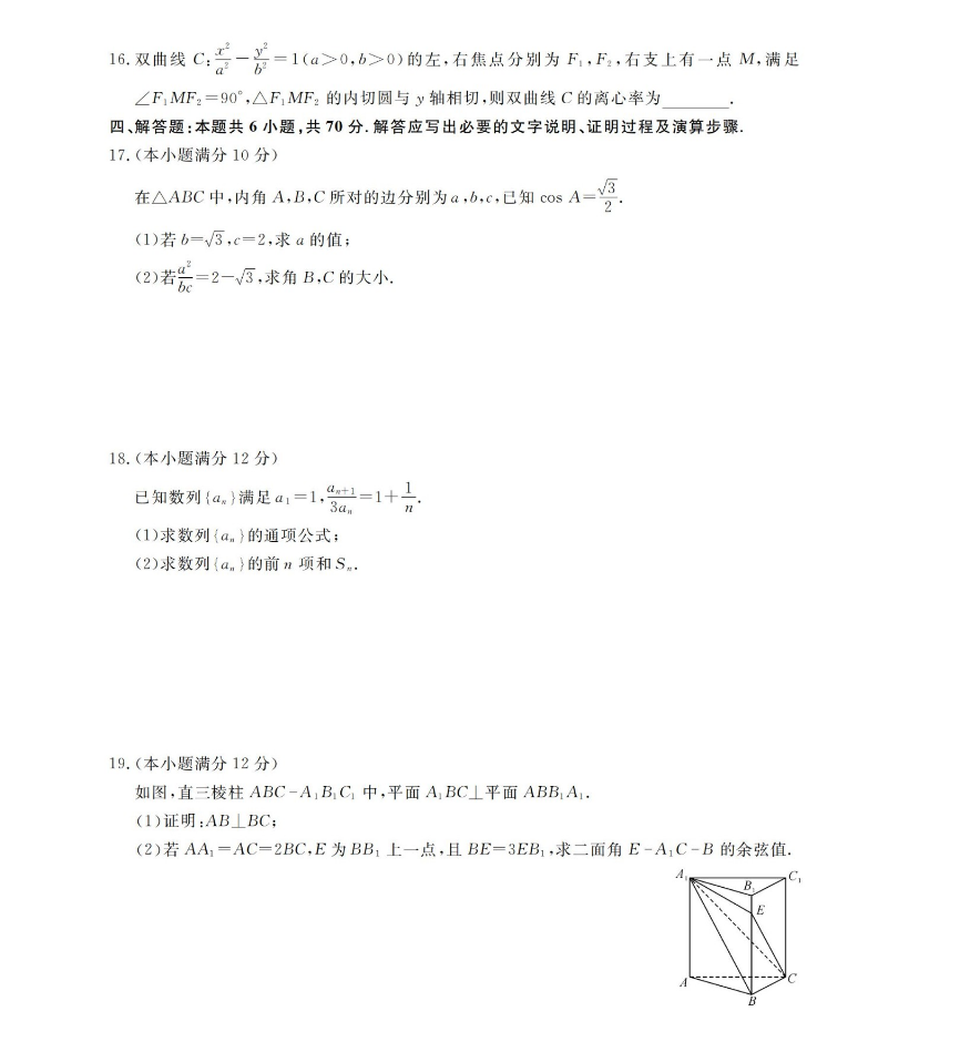 2024届高三数学适应性考试试卷及解析（新高考）