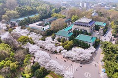 四川高考多少分可以读武汉大学(医护类)？附2021-2023最低分及位次