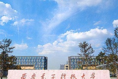 西安电子科技大学(中外合作)近三年在安徽录取分数线(含2021-2023最低分)