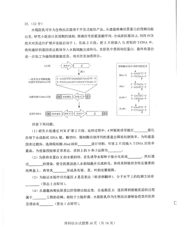 2024届九省联考理科综合试卷【河南省】