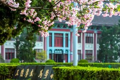 广西考生570分左右理科能上什么大学？附2024年可以报考的大学名单