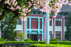 南京师范大学(中外合作)近三年在安徽录取分数线(含2021-2023最低分)