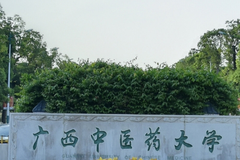 2023年广西中医药大学各省录取分数线一览表
