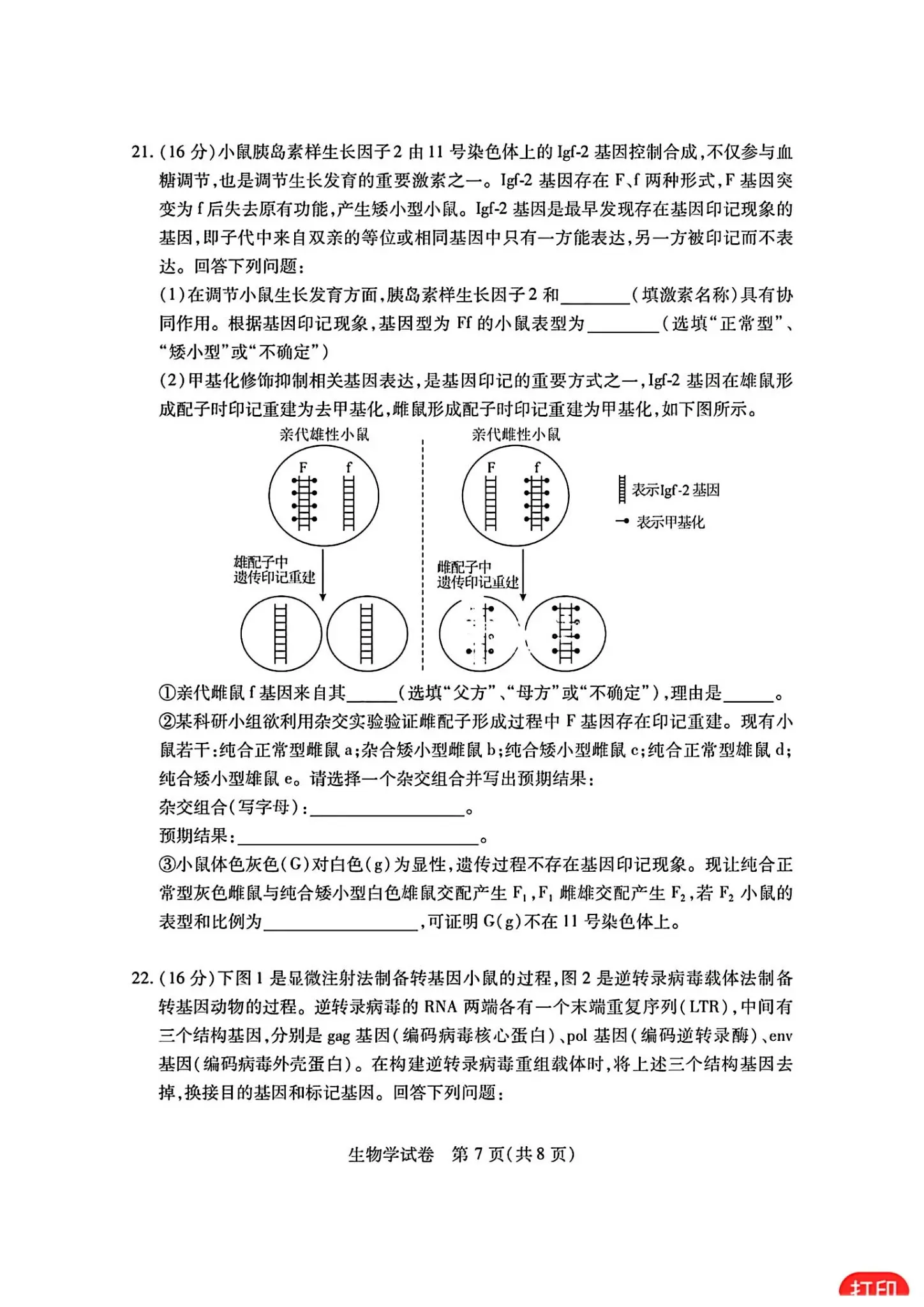 2024湖北七市州高三3月联考试卷及答案汇总（日语、化学、生物、政治、地理）