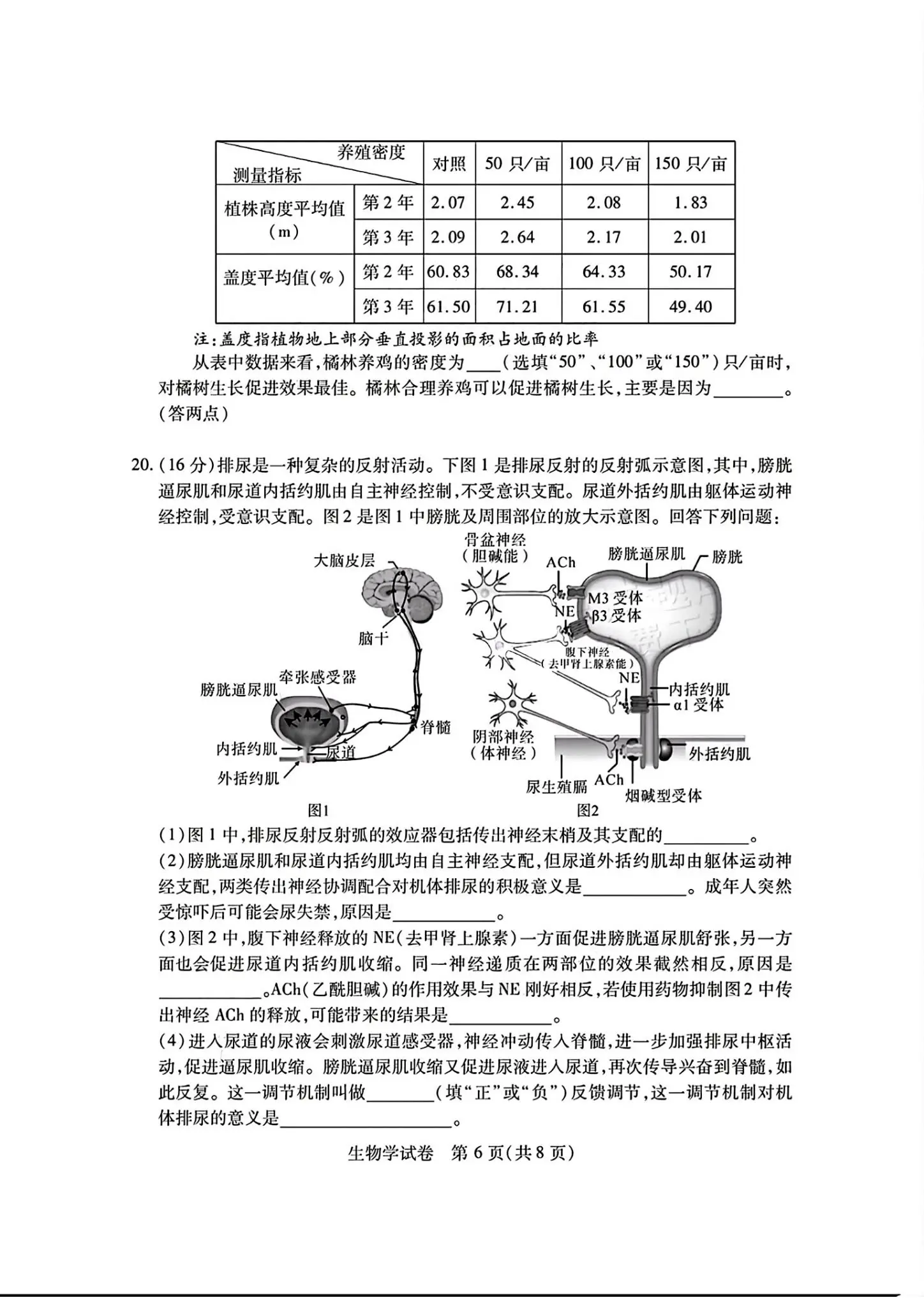 2024湖北七市州高三3月联考试卷及答案汇总（日语、化学、生物、政治、地理）