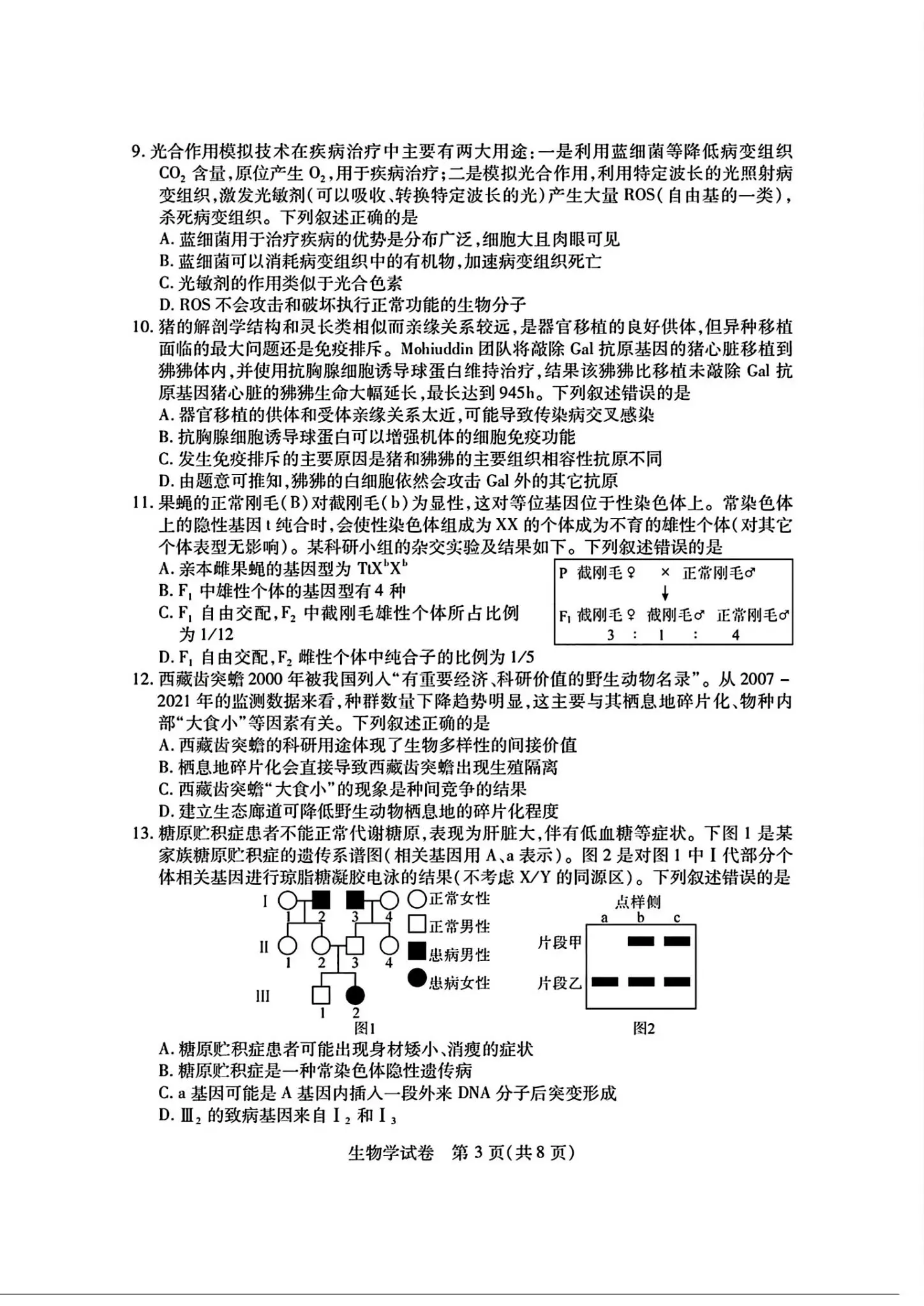 2024湖北七市州高三3月联考试卷及答案汇总（日语、化学、生物、政治、地理）