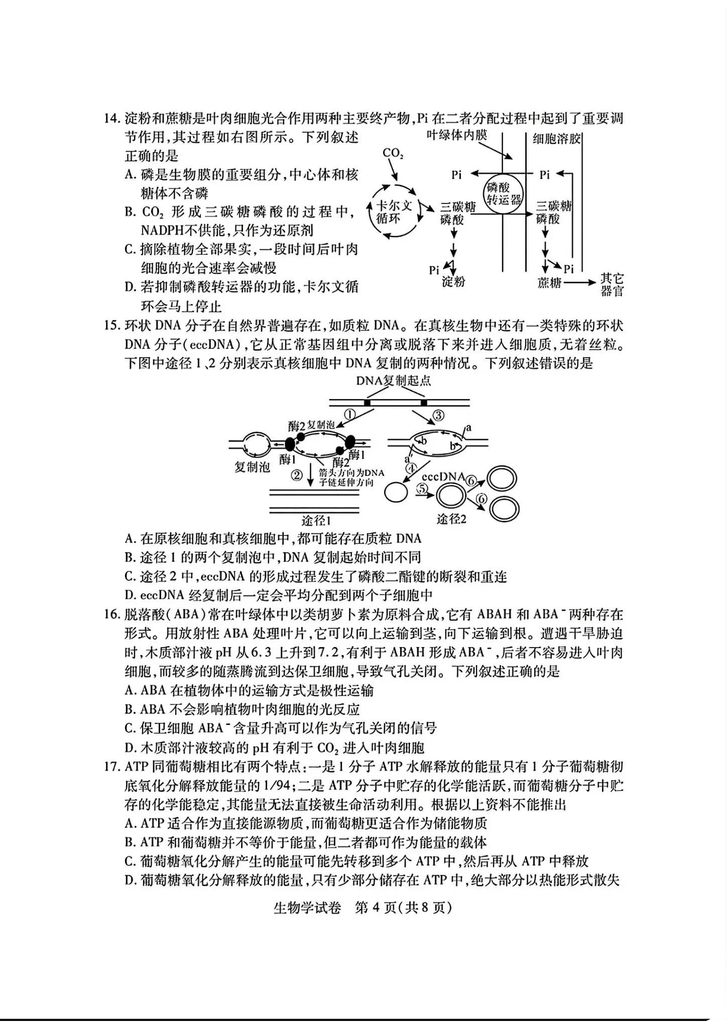 2024湖北七市州高三3月联考试卷及答案汇总（日语、化学、生物、政治、地理）