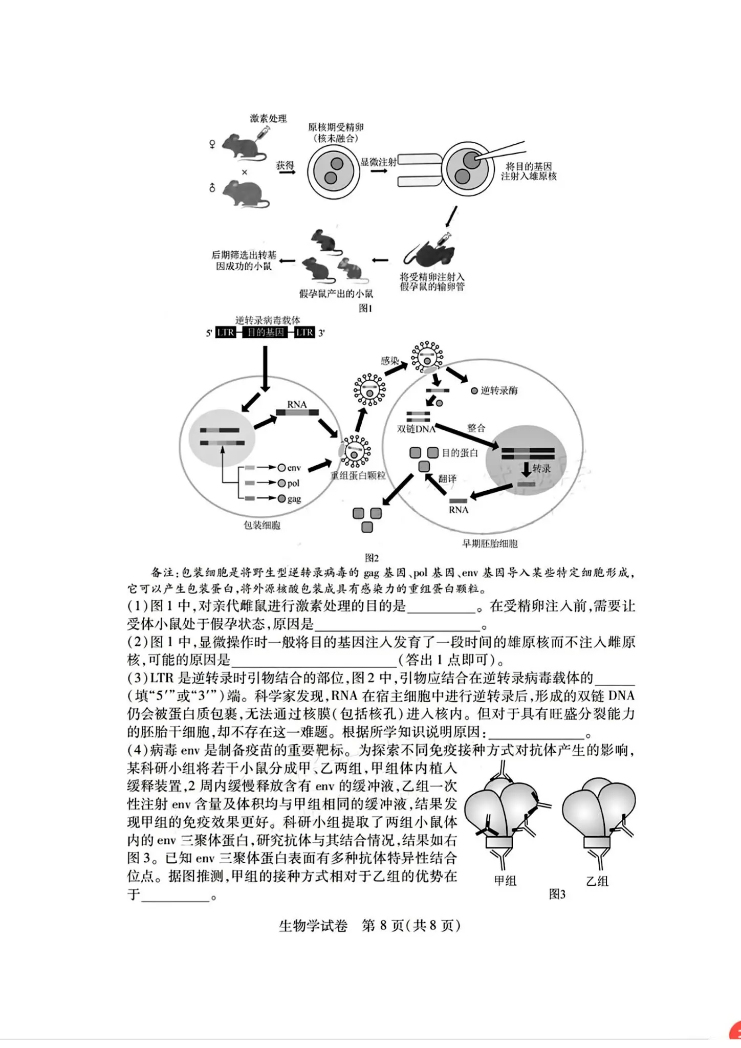 2024湖北七市州高三3月联考试卷及答案汇总（日语、化学、生物、政治、地理）