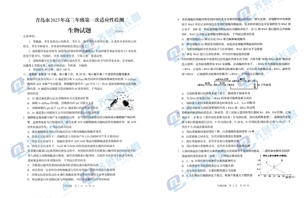 2024山东青岛一模试卷及答案汇总（英语、物理、历史、化学、生物）