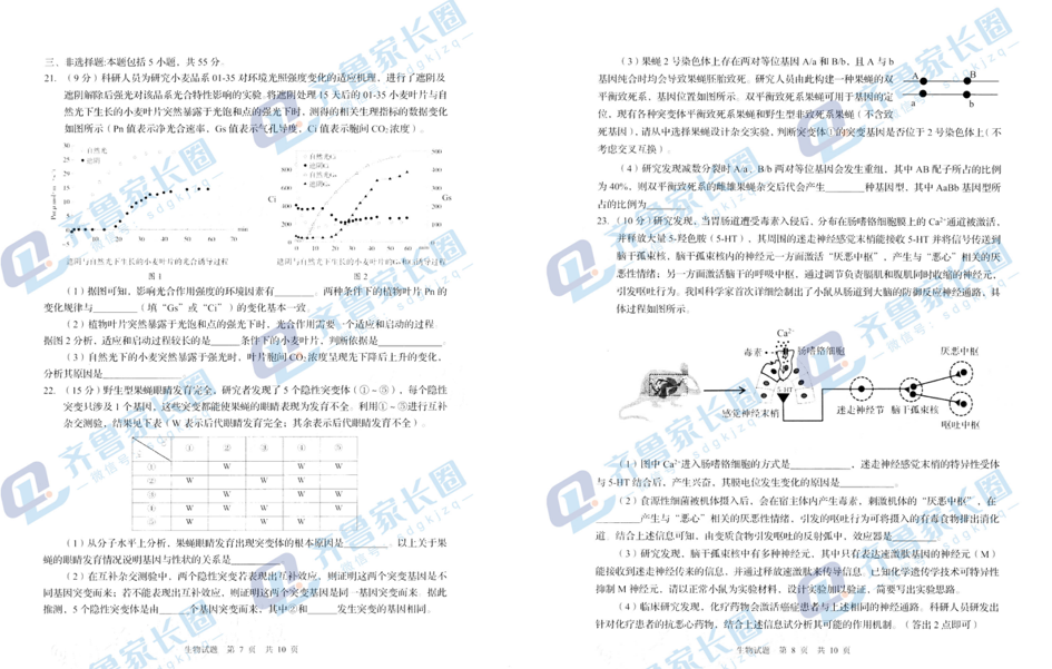 2024山东青岛一模试卷及答案汇总（英语、物理、历史、化学、生物）