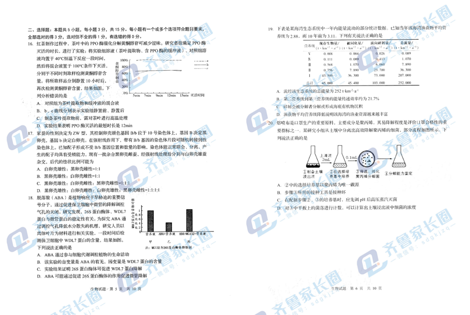 2024山东青岛一模试卷及答案汇总（英语、物理、历史、化学、生物）