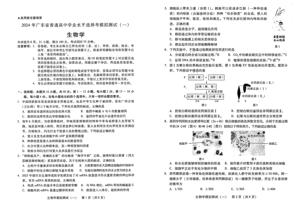 2024广东一模各科试卷及答案汇总（英语、化学、生物、政治、地理）