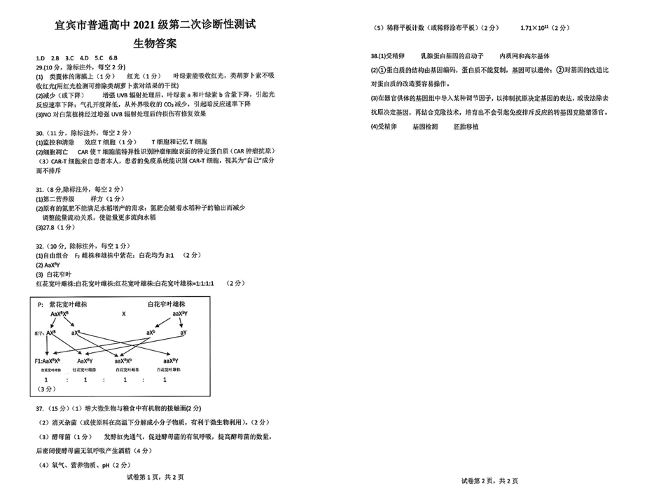 2024宜宾二诊各科试卷及答案汇总（数学、文/理综、英语）