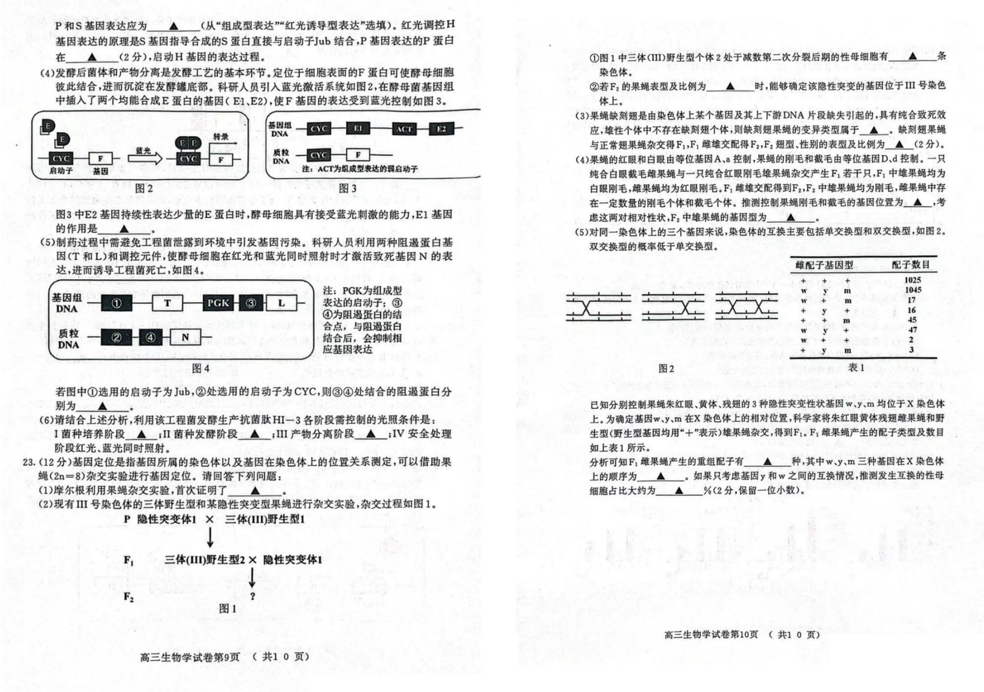 2024江苏南京一模试卷及答案汇总（语文、化学、数学等九科全）