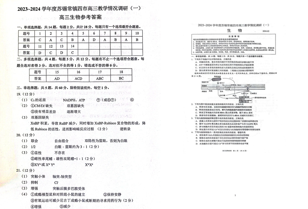 2024年苏锡常镇一模各科目试卷及答案汇总（九科全）