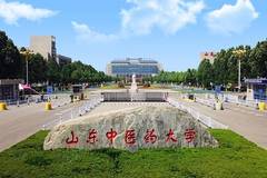 2024山东中医药大学录取分数线：最低377分（含各专业录取最低分）