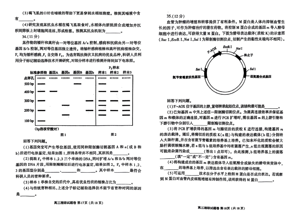 2024河南郑州二模试卷及答案汇总（语文、数学、英语、文综/理综）