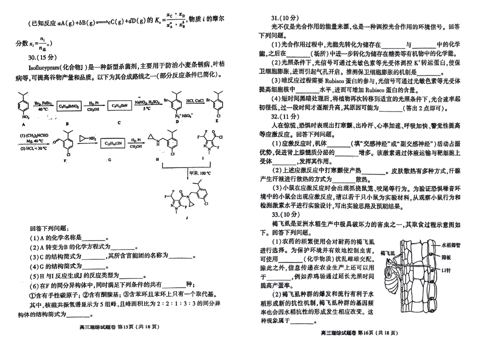 2024河南郑州二模试卷及答案汇总（语文、数学、英语、文综/理综）