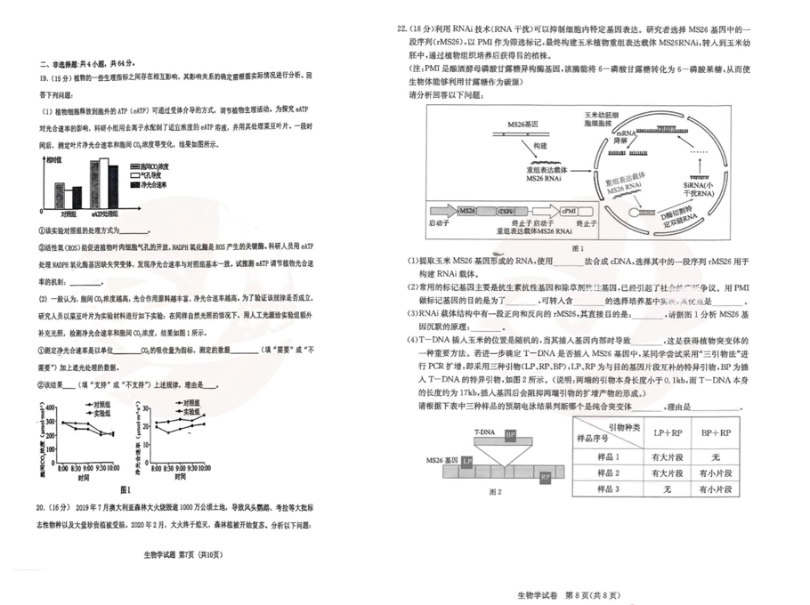 2024湖北十一校第二次联考各科试卷及答案汇总（九科全）