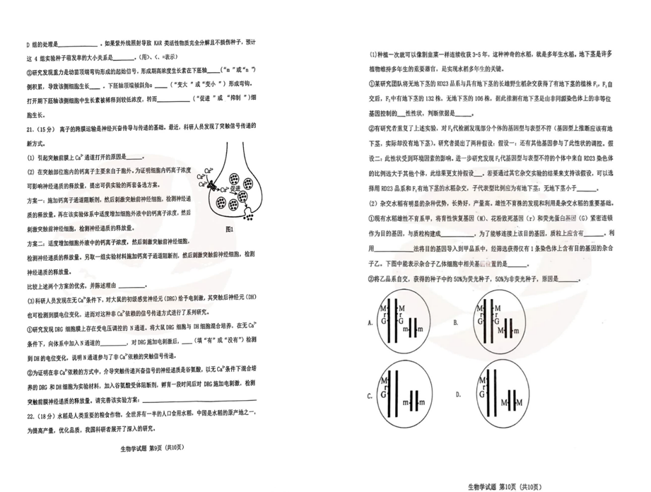 2024湖北十一校第二次联考各科试卷及答案汇总（九科全）