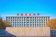 宁夏高考397分理科能上什么大学？附2024年能上的院校名单