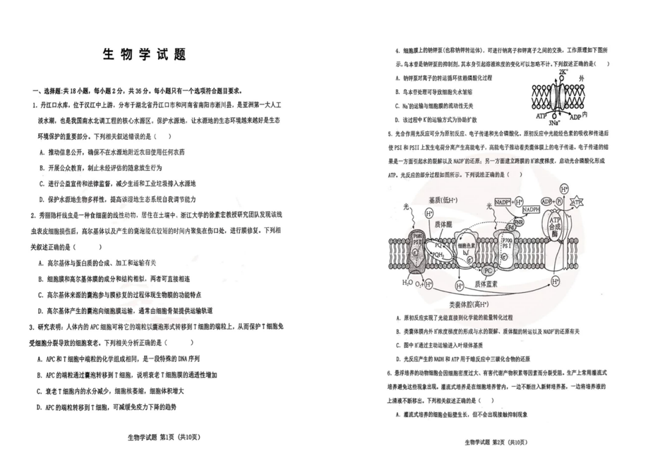 2024湖北十一校第二次联考各科试卷及答案汇总（九科全）