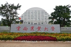 云南高考530分文科能上什么大学？附2024年能上的院校名单