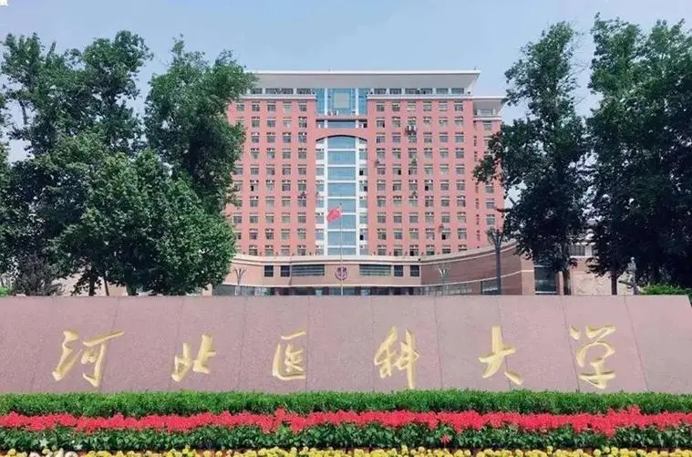 广东考生521分物理类能上什么大学？ 附2024年能上的院校名单