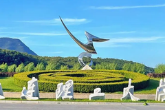 大连理工大学2024年各学科排名一览表！附教育部评级比例
