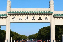 武汉大学2024年强基计划录取分数线一览表（2025考生填报参考）