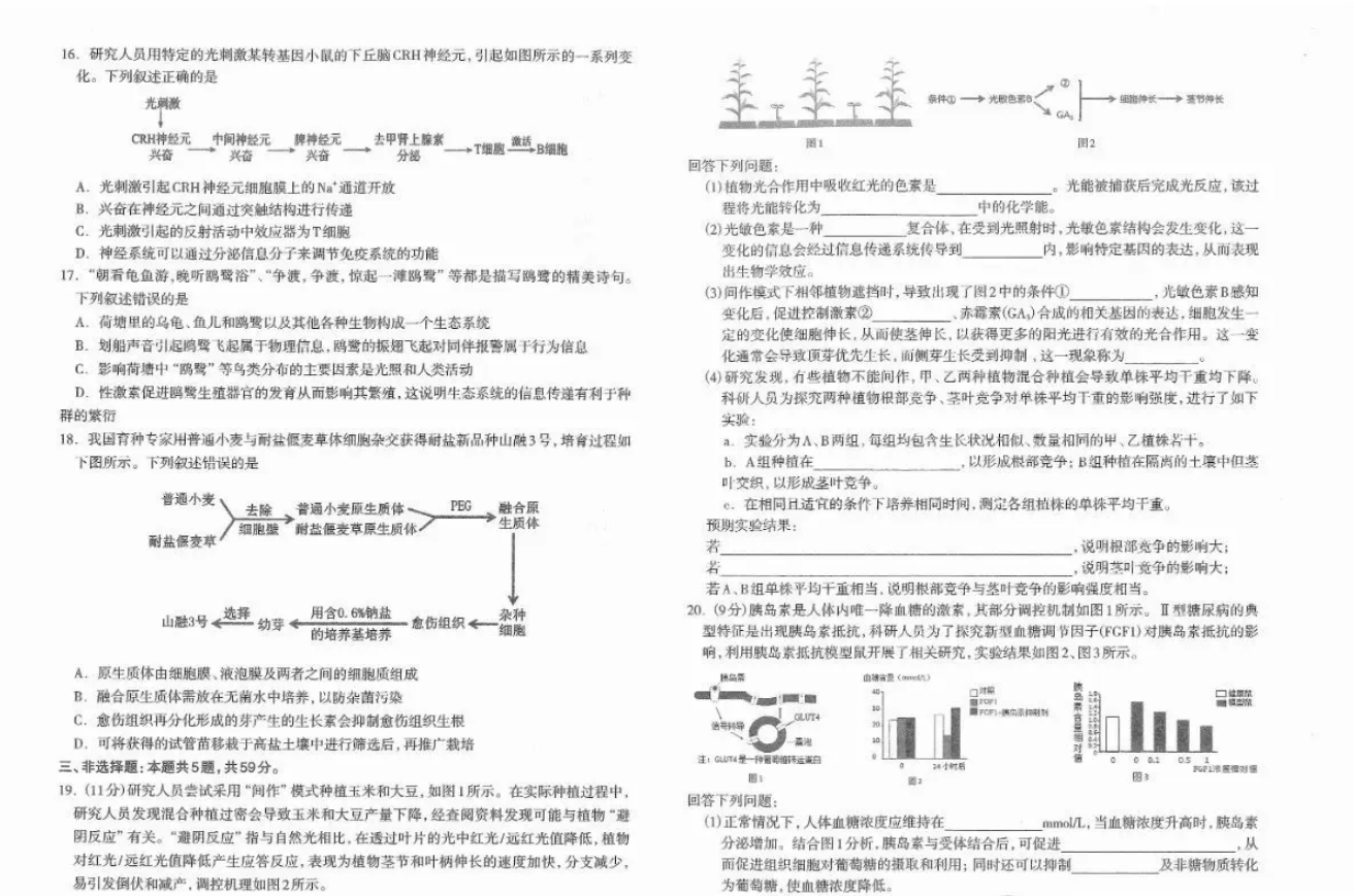 2024石家庄二模各科试卷及答案汇总（政治、生物）