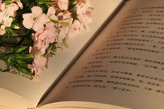 2024年佛山二模各科试卷及答案汇总（九科全）