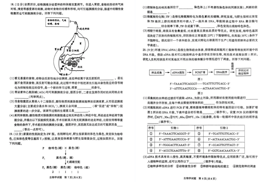 2024年合肥二模各科试卷及答案解析（九科全）