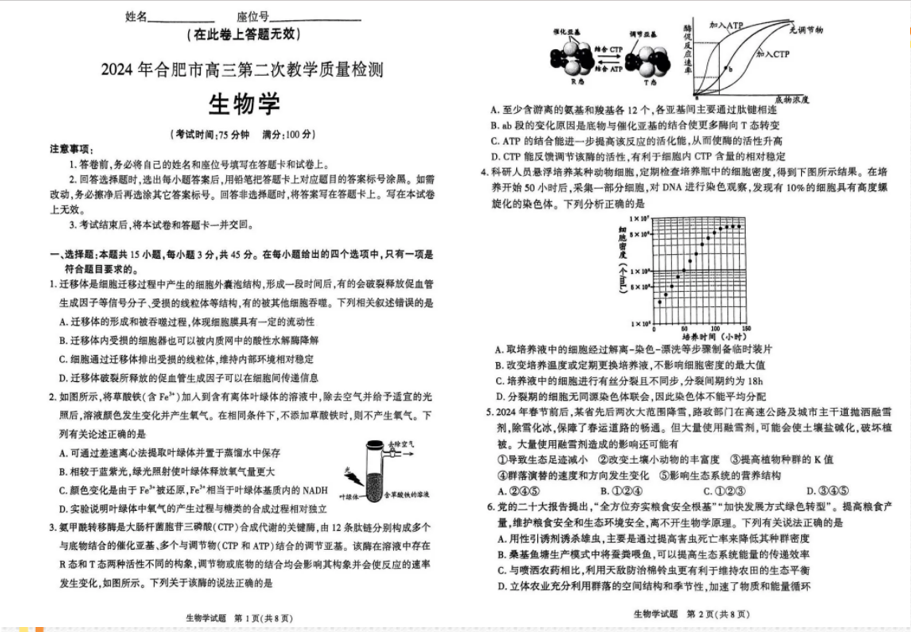 2024年合肥二模各科试卷及答案解析（九科全）