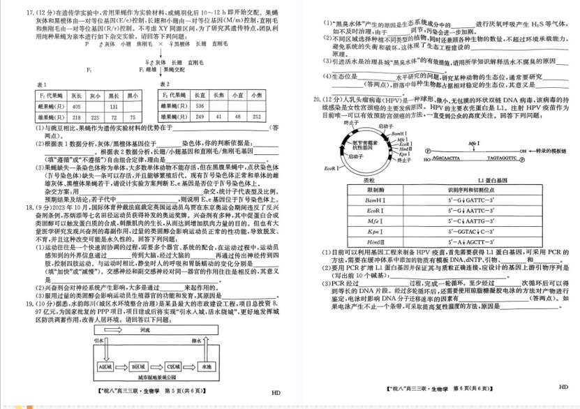 2024安徽皖南八校高三第三次联考试卷及答案解析（九科全）