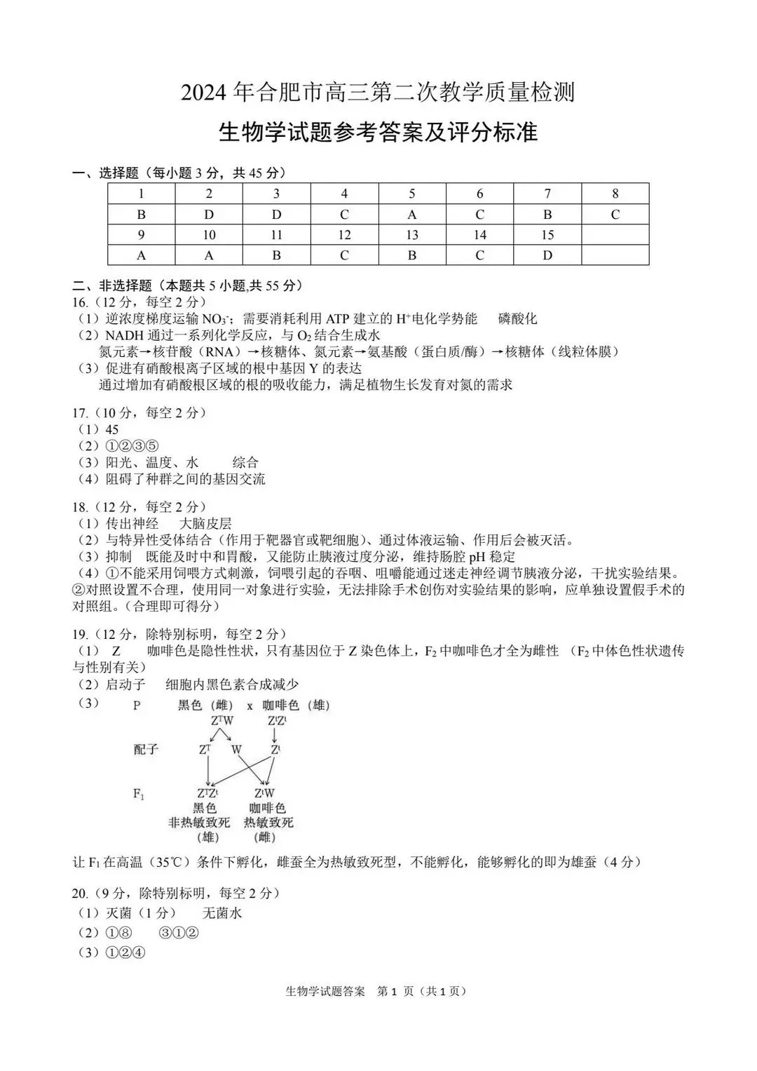 2024年合肥二模各科试卷及答案解析（九科全）