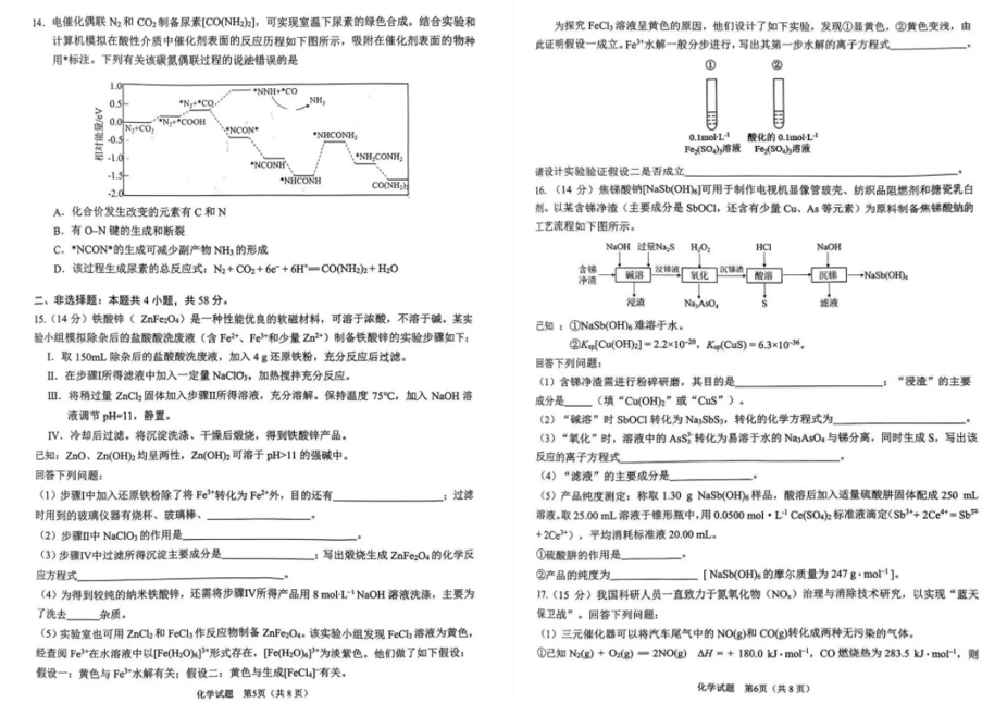 2024年合肥二模各科试题及答案汇总（真题）