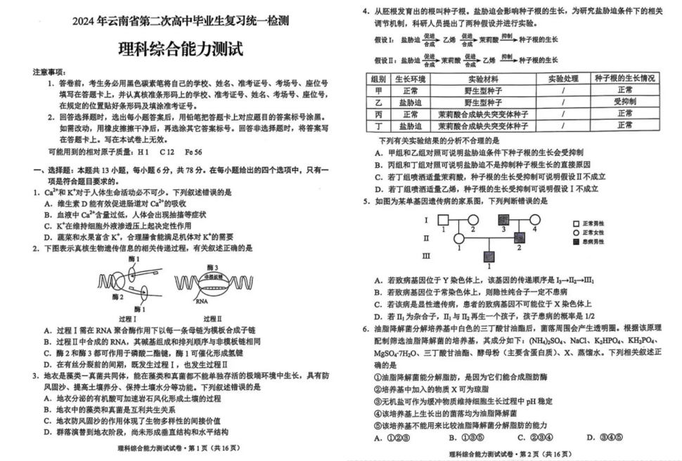 2024云南省高三第二次省统测试卷及答案解析（含语数英文理综）