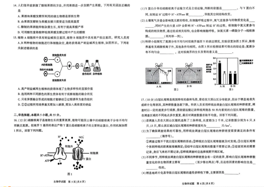 2024年合肥二模各科试题及答案汇总（真题）