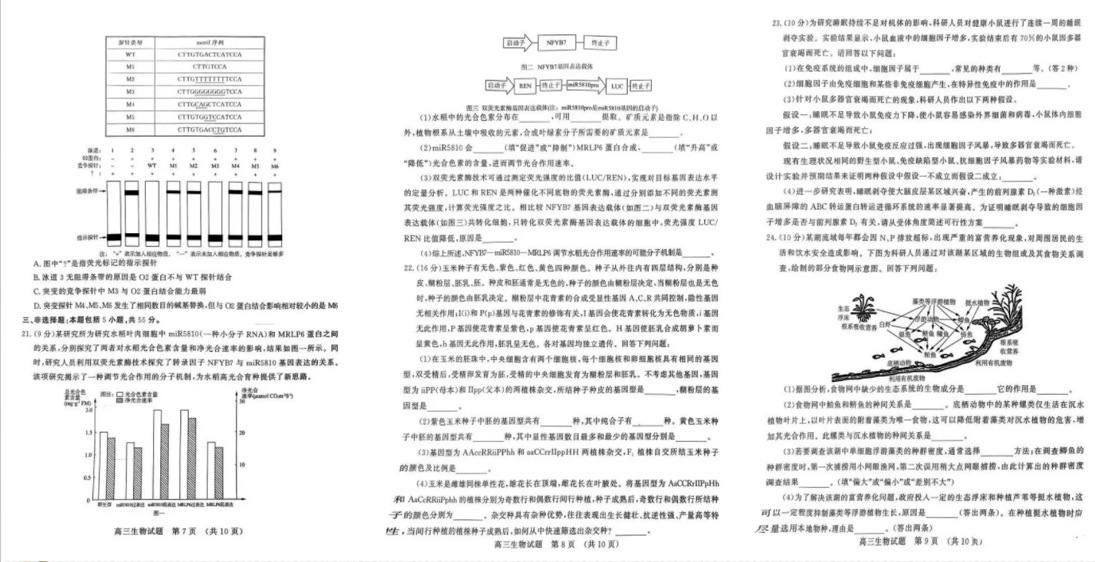 山东济南二模2024各科试卷及答案汇总（真题）