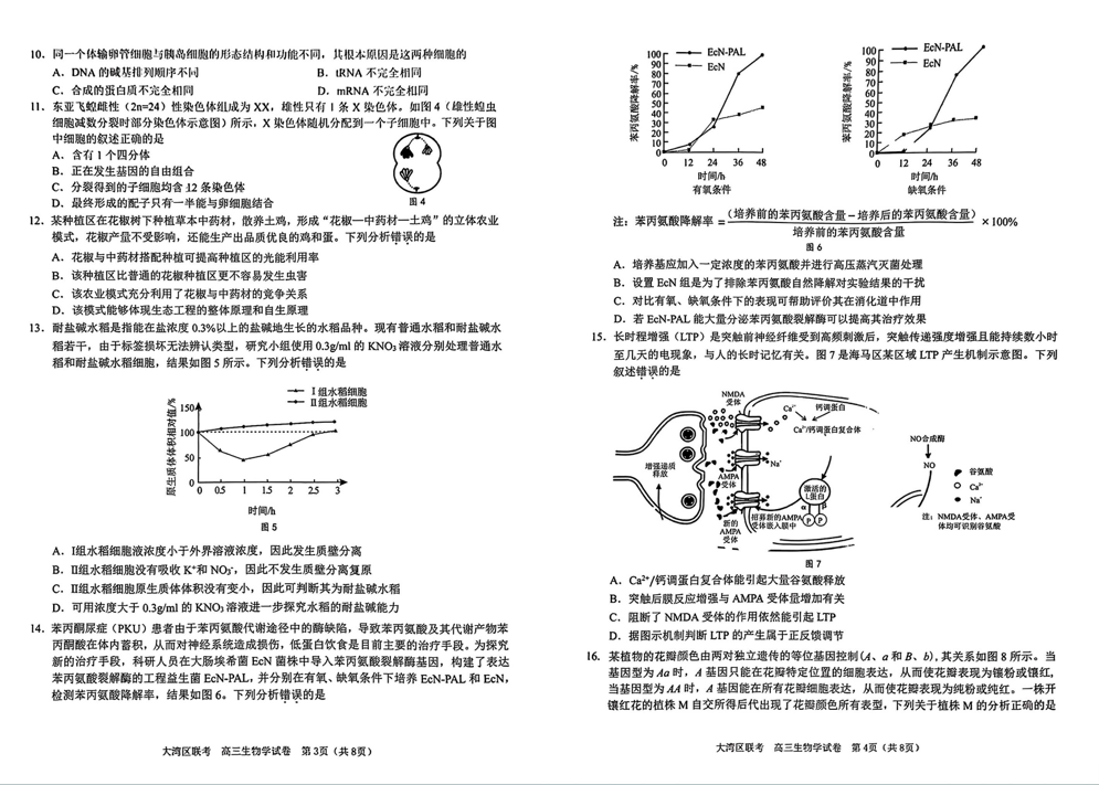 2024年广东大湾区二模各科试卷及答案汇总（九科全）