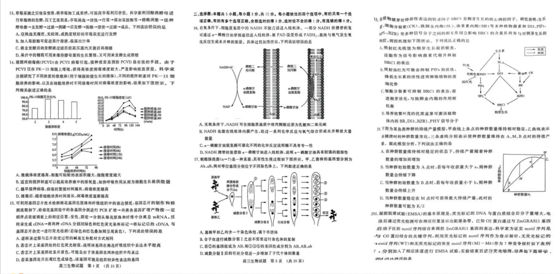 2024年山东济南二模各科试卷及答案汇总（九科全）