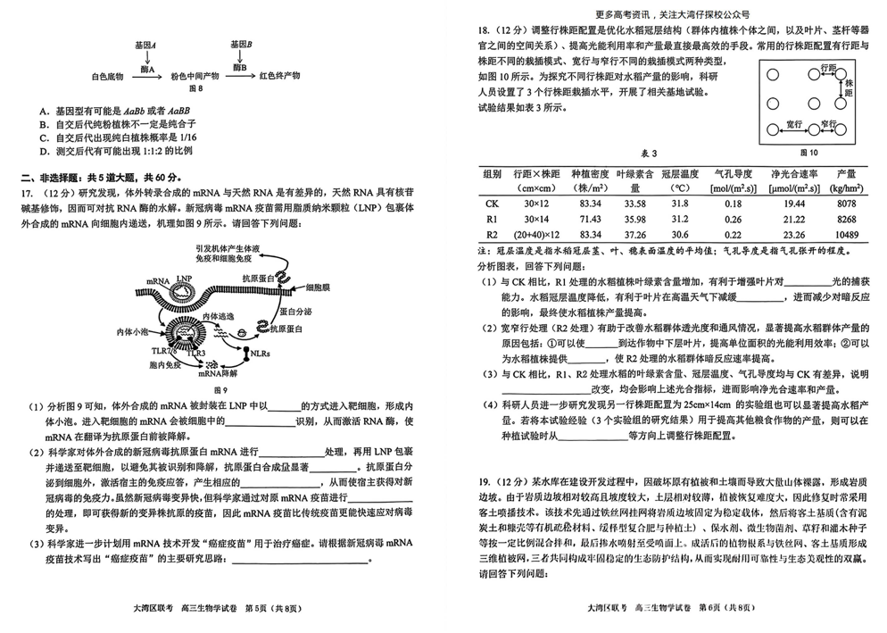 2024年广东大湾区二模各科试卷及答案汇总（九科全）